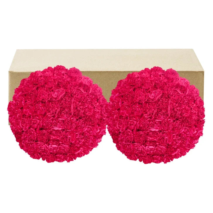 Carnations, 100 Stems