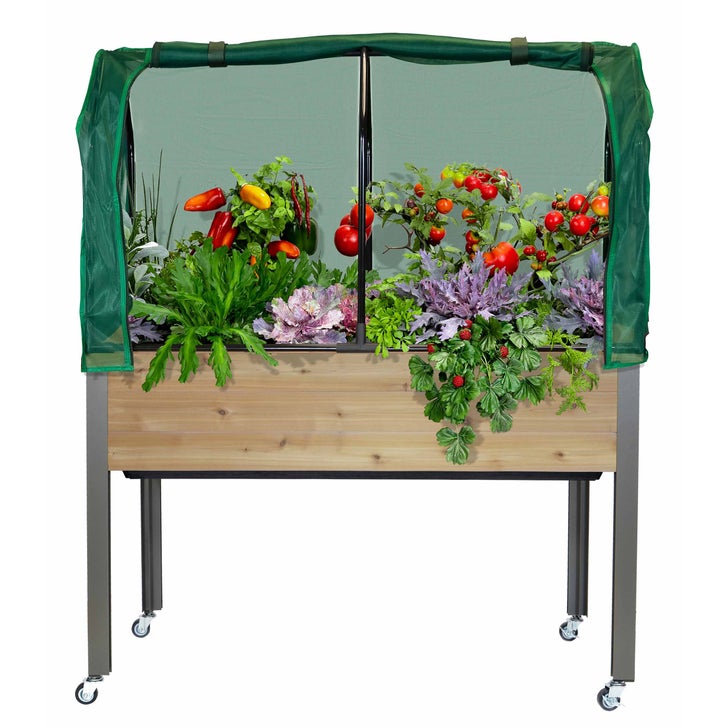 Self-Watering Elevated Cedar Planter With Greenhouse and Bug cover