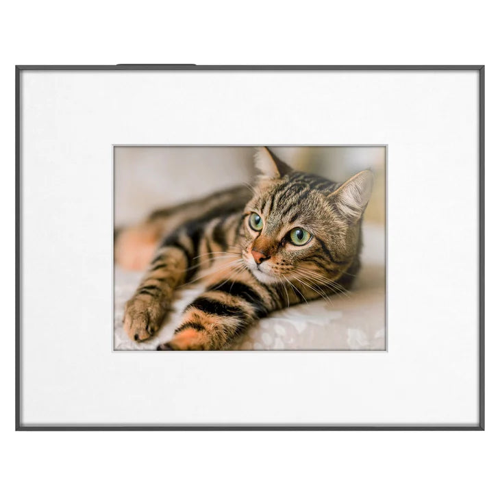 Aluratek ePaper 13.3-in WiFi Digital Photo Frame