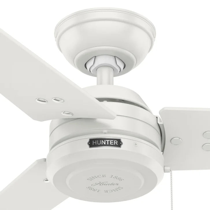 Hunter Fan Cassius 52 in. Indoor/Outdoor Ceiling Fan