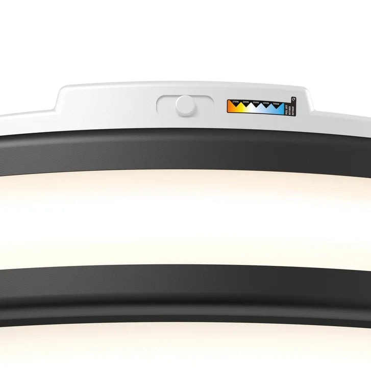 Artika Hemisphere Flush Mount Light