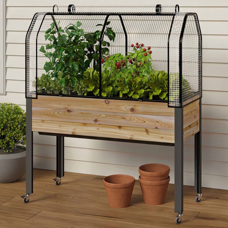 Self-Watering Elevated Cedar Planter With Greenhouse and Bug cover