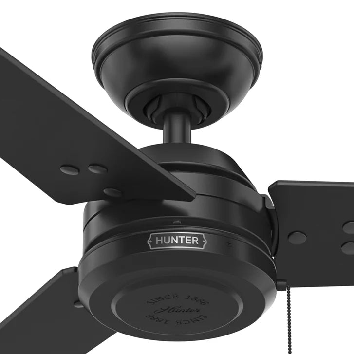 Hunter Fan Cassius 52 in. Indoor/Outdoor Ceiling Fan