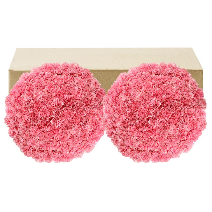 Carnations, 100 Stems