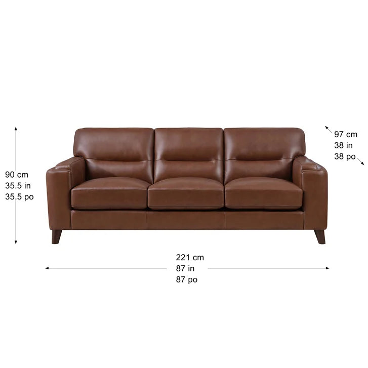Prospera Home Sorena Top-grain Leather Sofa and Chair