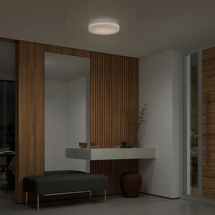 Artika Hemisphere Flush Mount Light