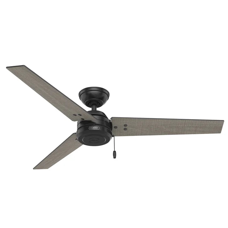 Hunter Fan Cassius 52 in. Indoor/Outdoor Ceiling Fan
