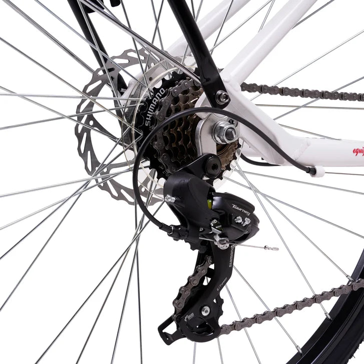 Infinity Boss three Disc, Unisex Comfort Bike