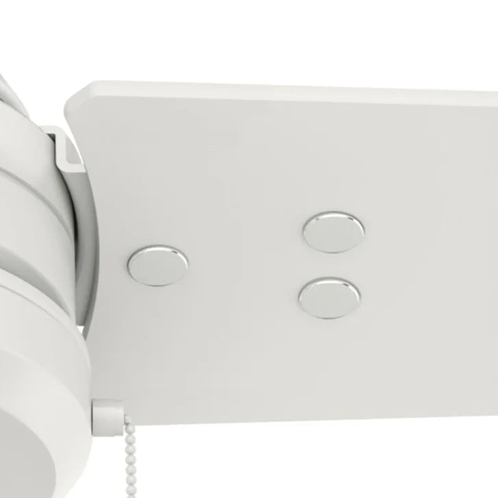 Hunter Fan Cassius 52 in. Indoor/Outdoor Ceiling Fan