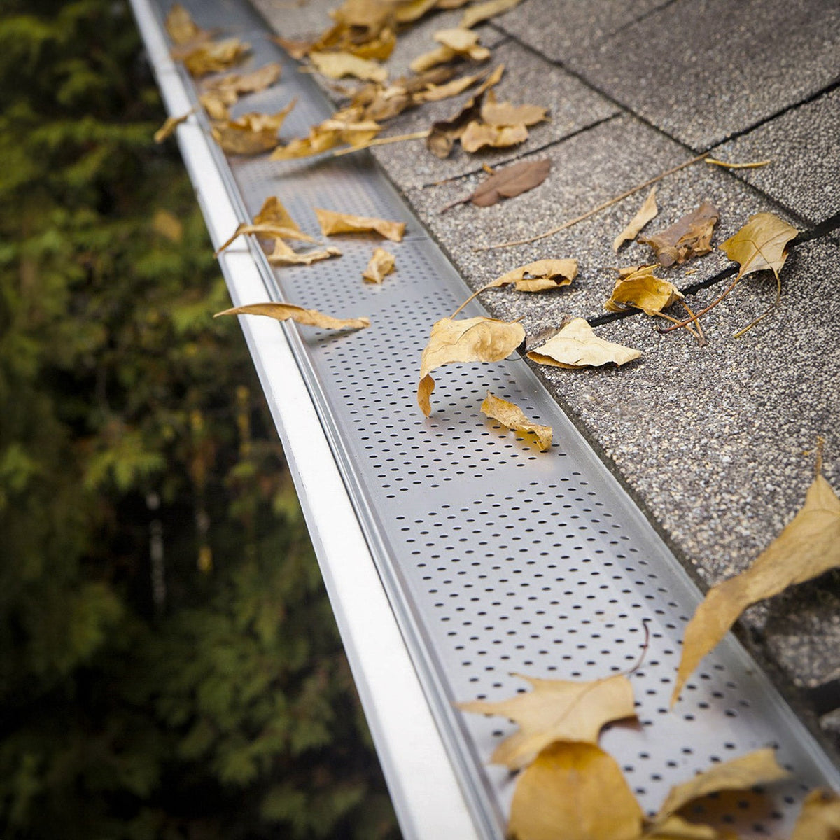Alu-Rex Clip N Guard Gutter System