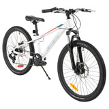 Infinity Destiny Girls Mountain Bike