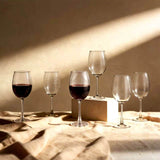Link Life 473 mL (16 oz) Wine Glass Set, 18-pack