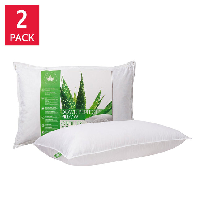 Canadian Down & Feather Company Down Perfect Pillow 2-pack C0