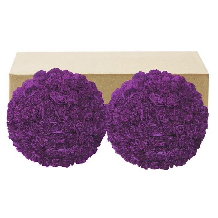 Carnations, 100 Stems