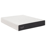 Cocoon by Sealy 25.4 cm (10 in.) Memory Foam King Mattress