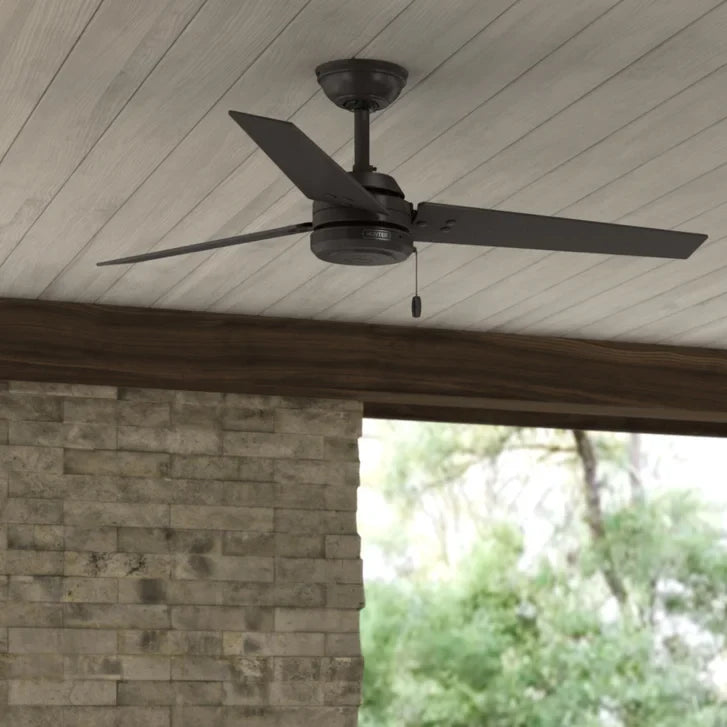 Hunter Fan Cassius 52 in. Indoor/Outdoor Ceiling Fan