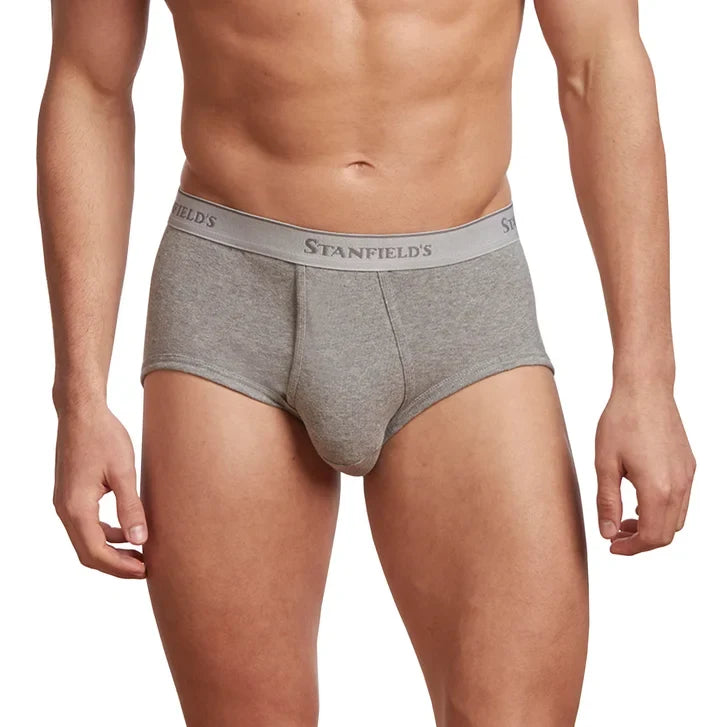 Stanfield's Men's Organic Briefs, 6-pack