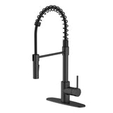 Akuaplus Aurora Pull-Down Kitchen Faucet.