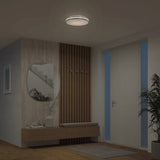 Artika Hemisphere Flush Mount Light