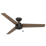 Hunter Fan Cassius 52 in. Indoor/Outdoor Ceiling Fan