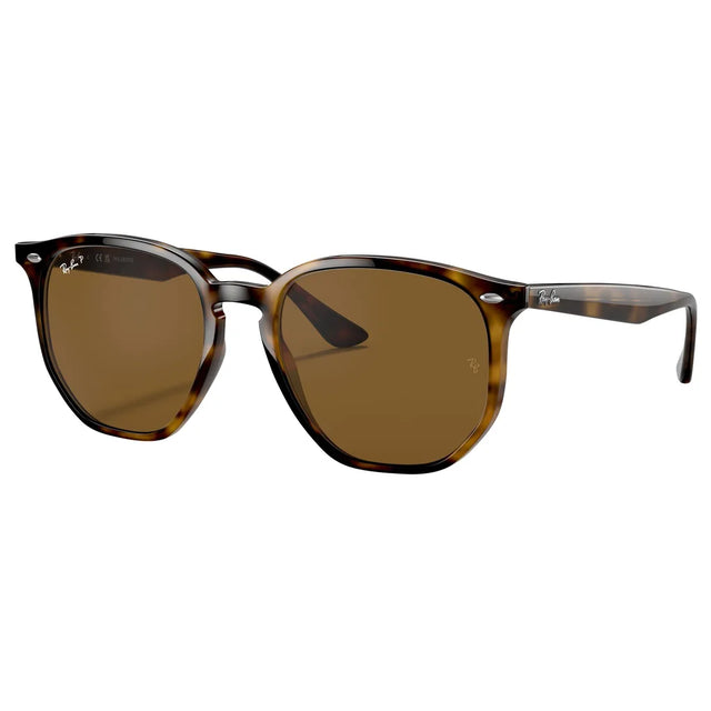 Ray-Ban 0RB4306 Polarized Sunglasses M5