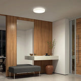 Artika Hemisphere Flush Mount Light