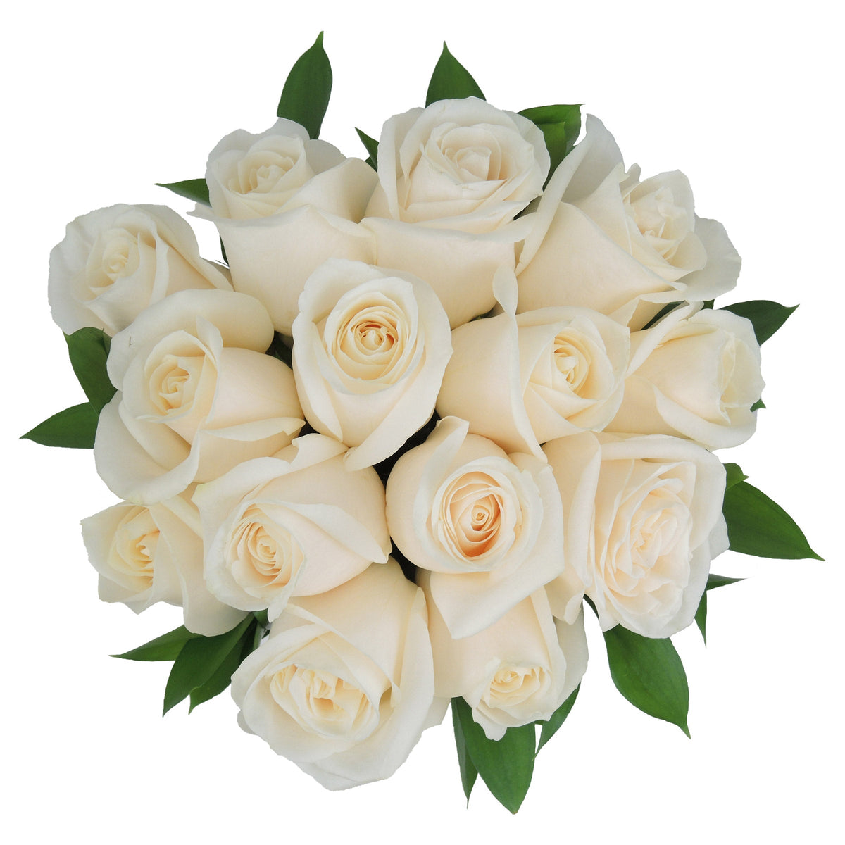 Romantic Rose Bridal Collection, Add-on