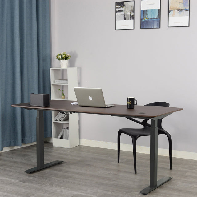 Motionwise 152.4 cm x 76.2 cm (60 in. x 30 in.) Height Adjustable Desk A9