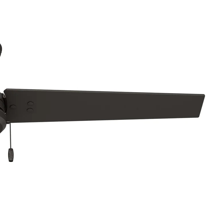 Hunter Fan Cassius 52 in. Indoor/Outdoor Ceiling Fan