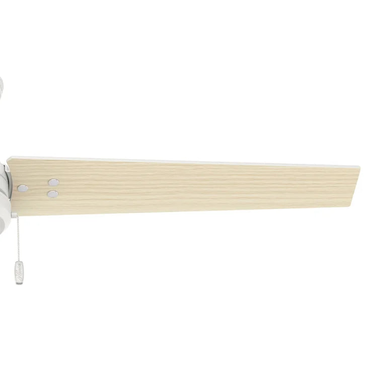Hunter Fan Cassius 52 in. Indoor/Outdoor Ceiling Fan
