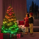 GOVEE 30.48 m (100 ft) Christmas String Lights 2S