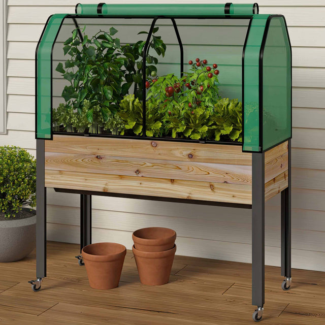 Self-Watering Elevated Cedar Planter With Greenhouse and Bug cover X7