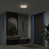 Artika Hemisphere Flush Mount Light