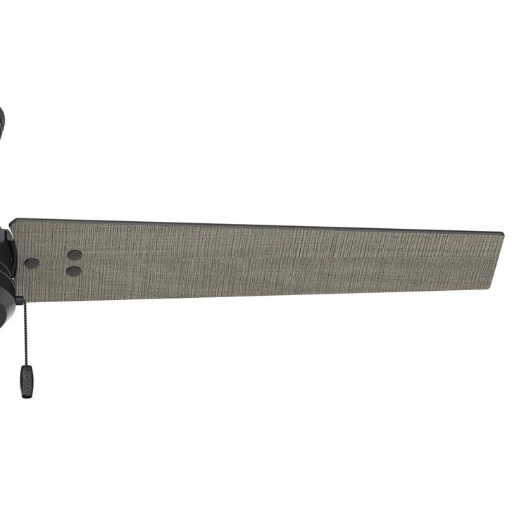 Hunter Fan Cassius 52 in. Indoor/Outdoor Ceiling Fan