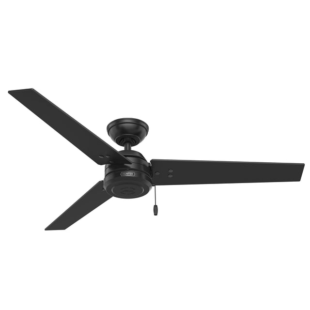 Hunter Fan Cassius 52 in. Indoor/Outdoor Ceiling Fan M5