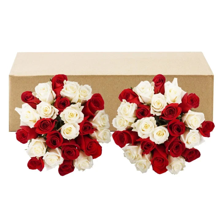 Roses, 48 Stems - Red & White
