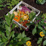 4 ft. x 4 ft. Composting Keyhole Garden Bed