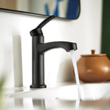 Moen Laken Single Handle Bathroom Faucet