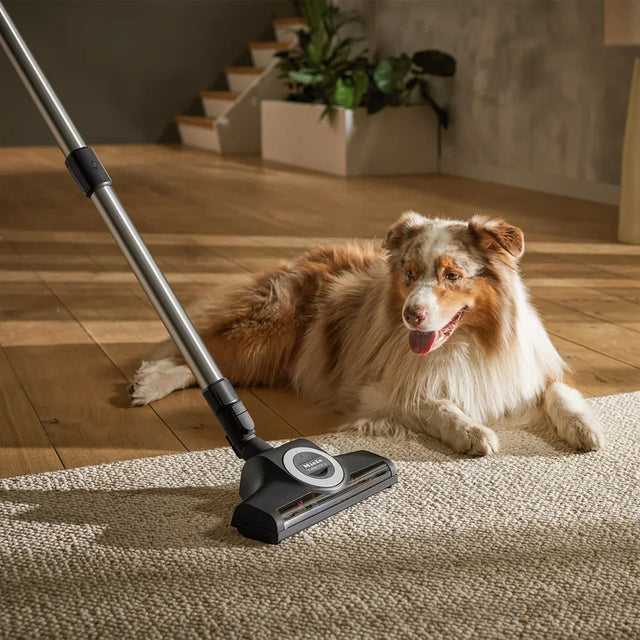 Miele Guard L1 Cat & Dog Plus Canister Vacuum B6