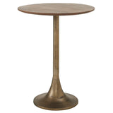 Rantus End Table with Mango Wood Top