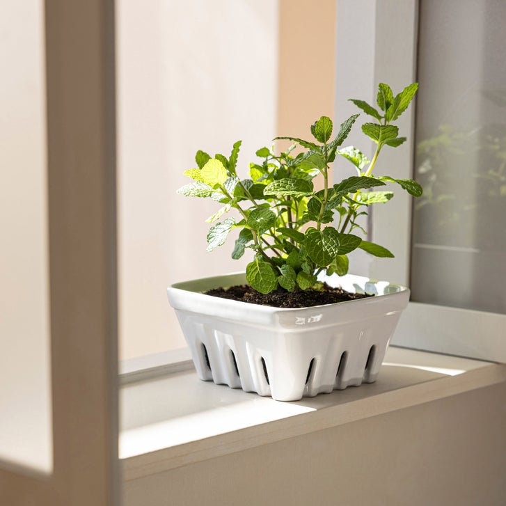 over&back Stoneware Basket Set, 3-pieces