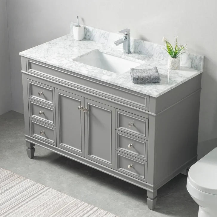 VanGo Chelsea Collection 48 in. Vanity