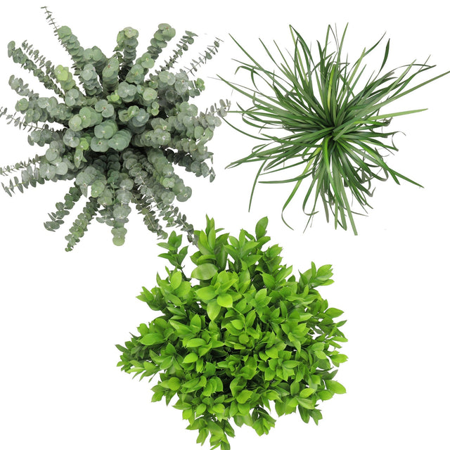 Assorted Greenery, 12 Bunches F8