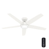 Hunter Fan Zayden 52 in. Ceiling Fan