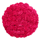 Carnations, 100 Stems