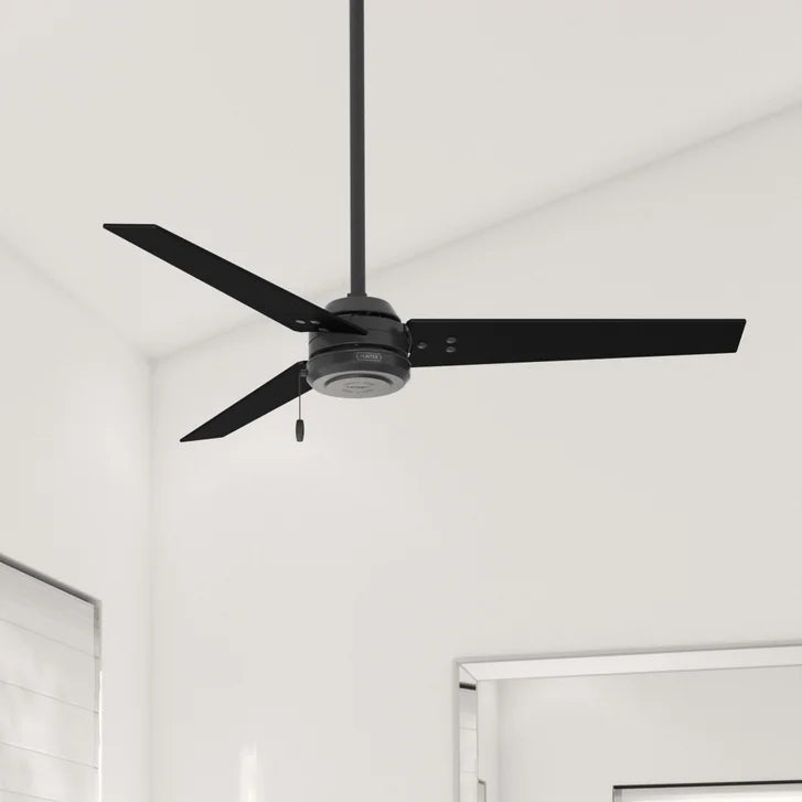 Hunter Fan Cassius 52 in. Indoor/Outdoor Ceiling Fan