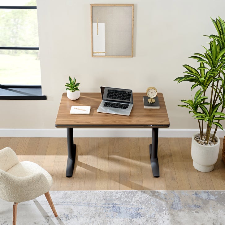Nico Case 117 cm (46.1 in.) Height Adjustable Lift Desk, Black Frame