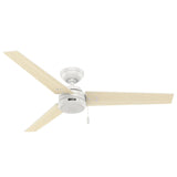 Hunter Fan Cassius 52 in. Indoor/Outdoor Ceiling Fan