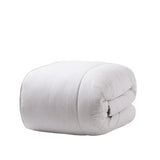 TheraLuxe by Therapedic Down on Top Featherbed