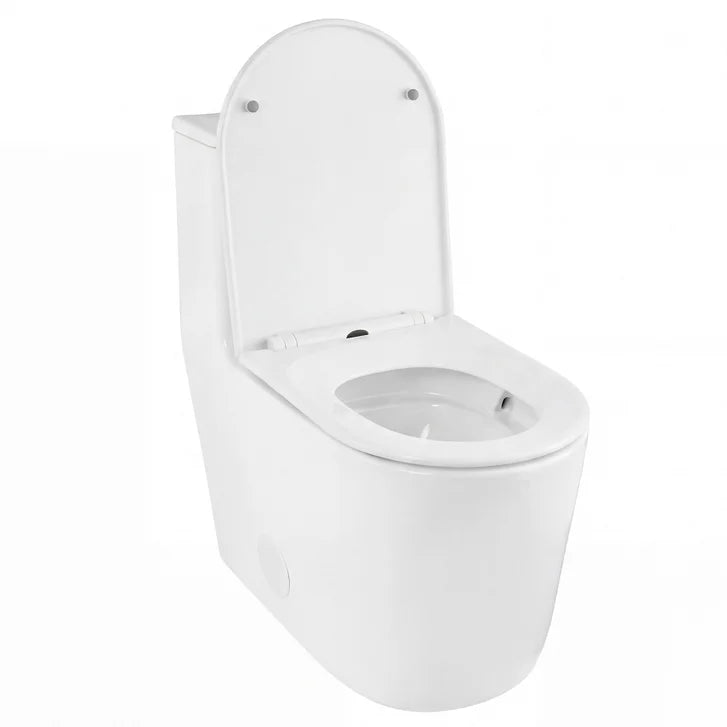 SERA Toledo 1-piece Dual Flush Toilet